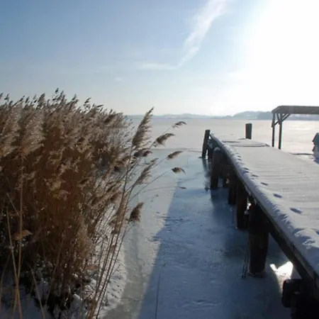 Arrangement _ Winter Auf Ruegen _