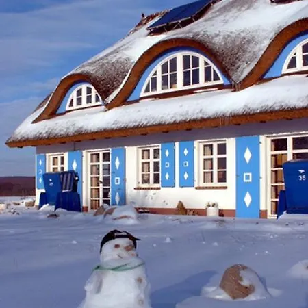 Arrangement _ Winter Auf Ruegen _